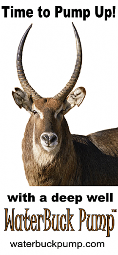 WaterBuck Pump