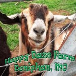 happy daze farm