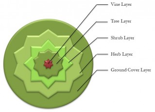 Guild layers -top down view