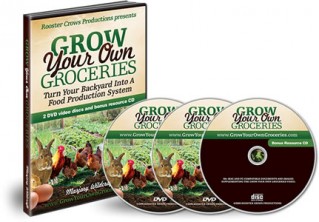 Grow Your Own Groceries