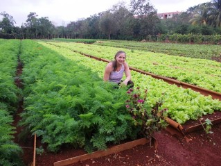 Marjory in row crops