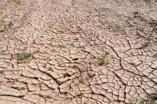 dried ground