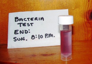bacteria water test