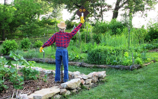 Woody the Action Scarecrow Backside