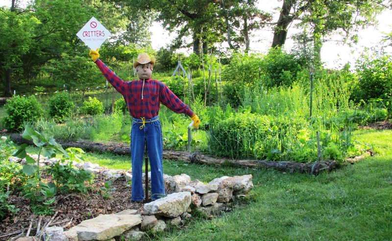 Woody the Action Scarecrow
