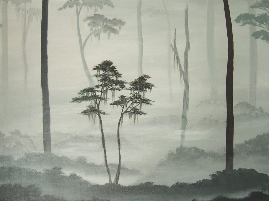 A Misty Forest