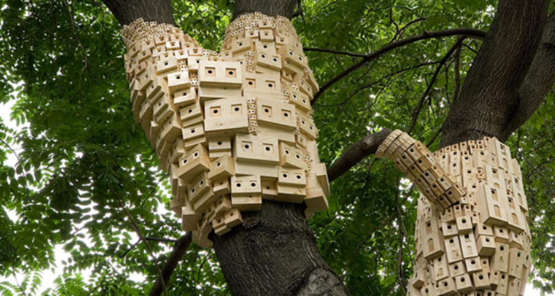 Birdhouses