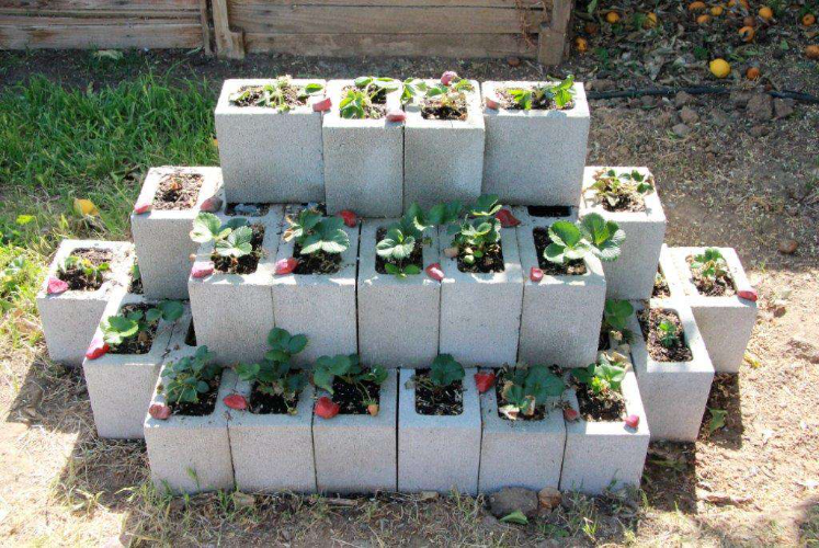 Cinder Block to Strawberry Planter