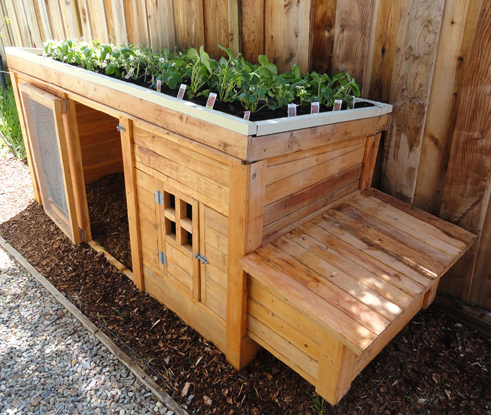 Coops for Small Spaces