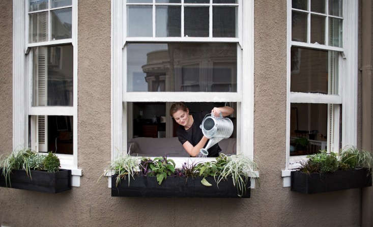 Incorporate Window Boxes