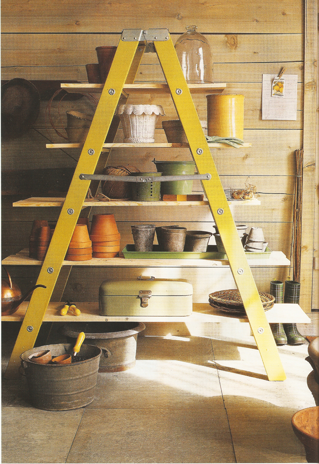 Ladder Shelves