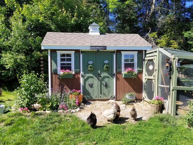 Location-Based Chicken Coop Ideas