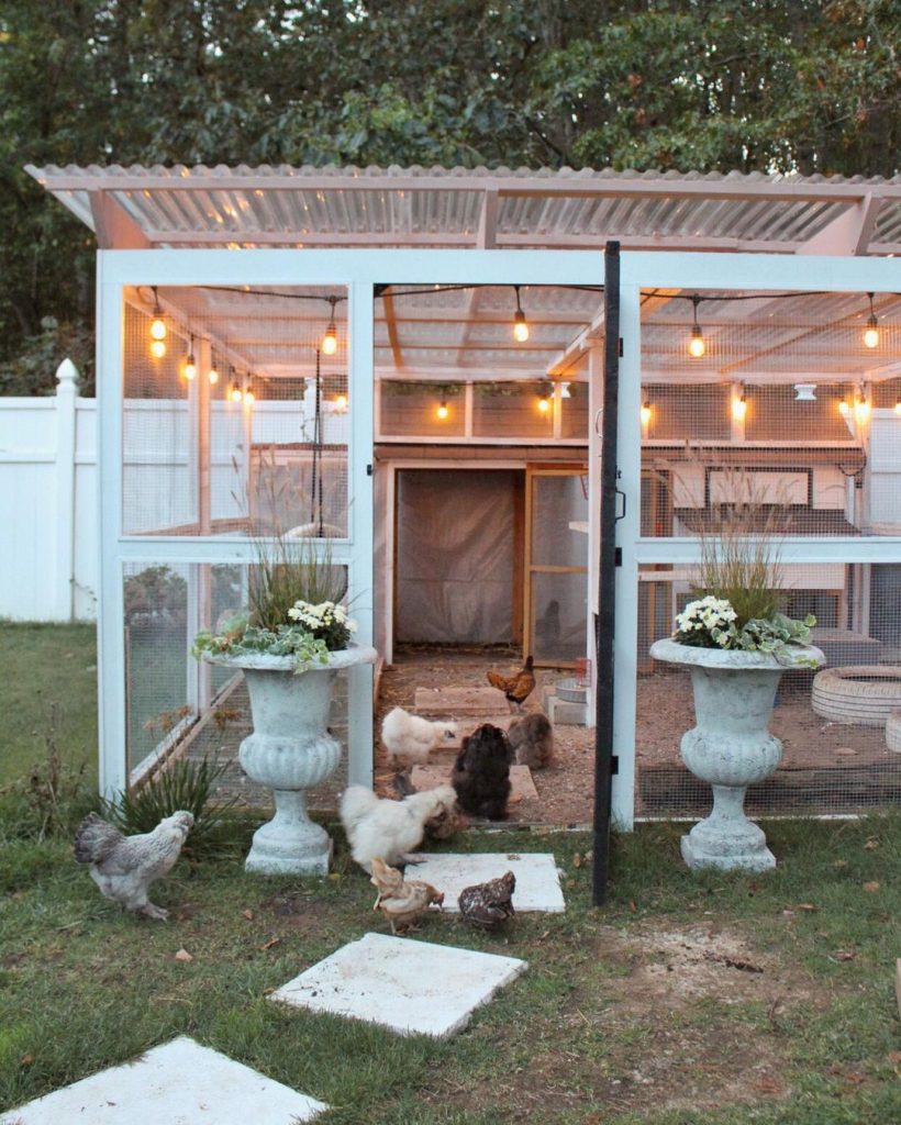 Luxurious Coop Ideas