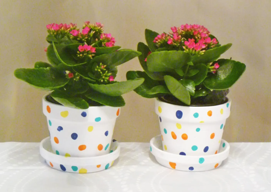 Polka Dots on Pots