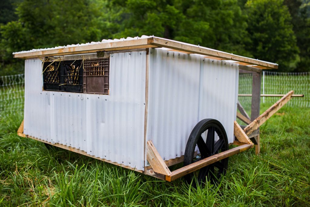 Portable Chicken Sled