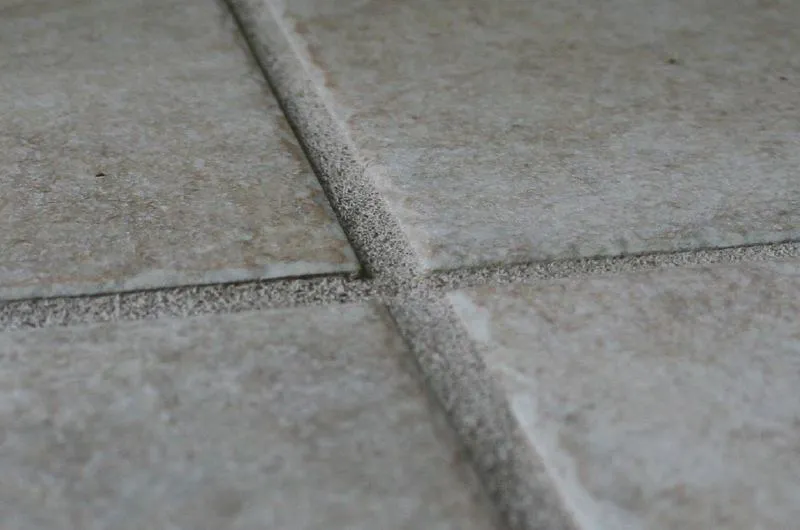 Sanded Grout.jpg