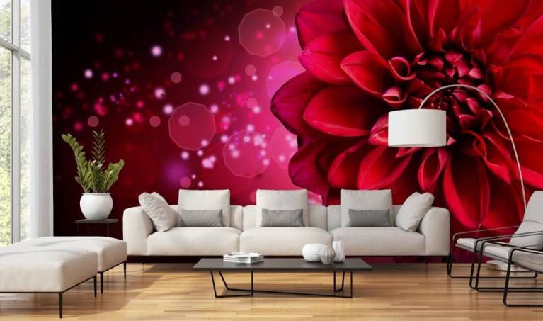 Single Flower Red Wallpaper