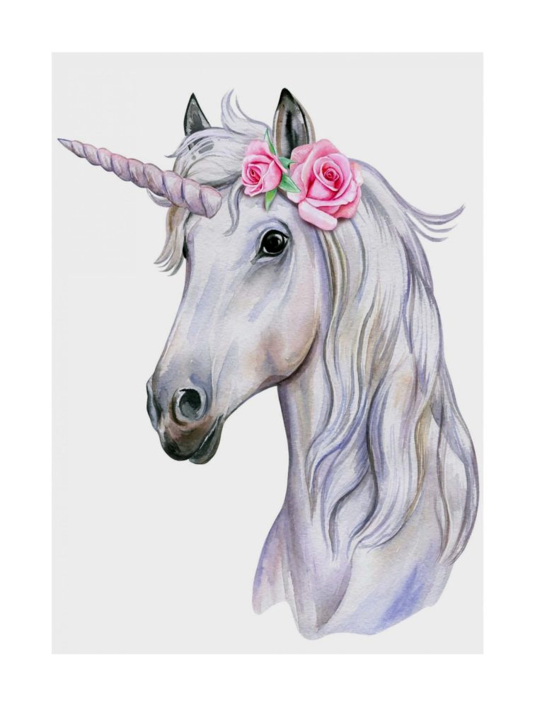 Unicorn