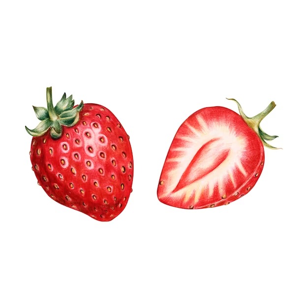 Watercolor Half Strawberry