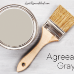 Agreeable Gray SW 7029- Review