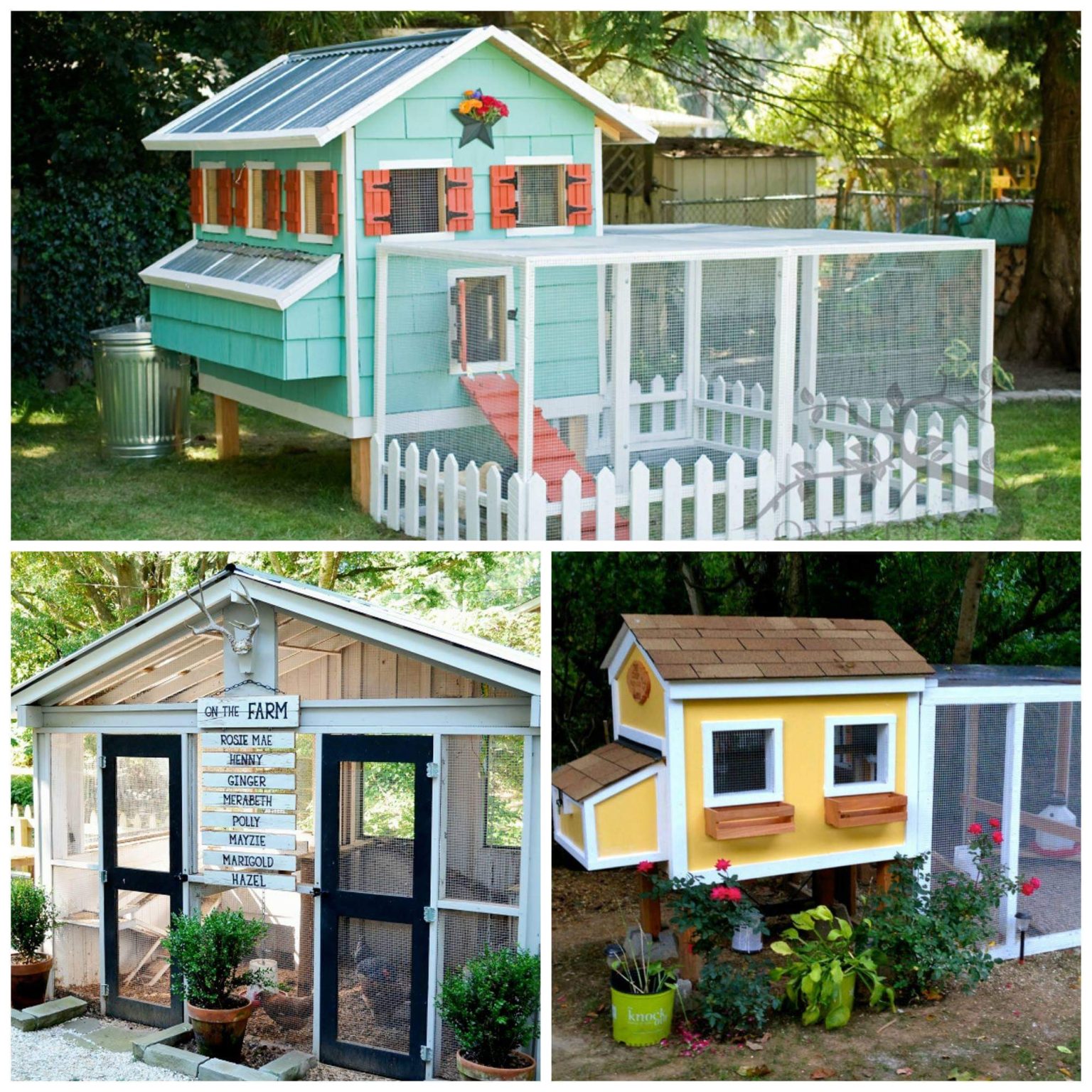21 Easy to Build Chicken Coop Ideas for Your Backyard WaterbuckPump