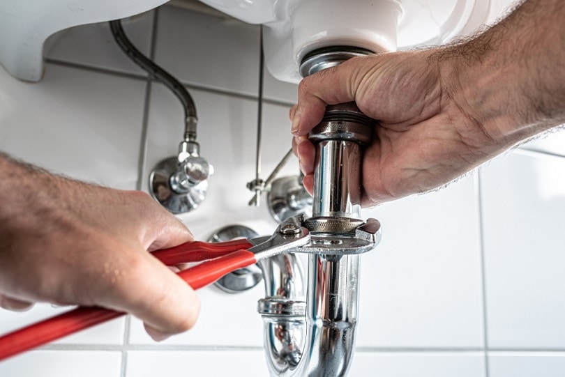 Learn how to replace a kitchen faucet at home with just 12 simple steps. Take action and enhance your kitchen by following this easy-to-follow guide.
